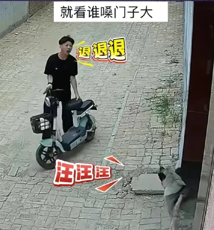 退！退！退！狗都不叫了小伙还在叫！6月14日，山东一小伙骑电瓶车从小巷子经过，突