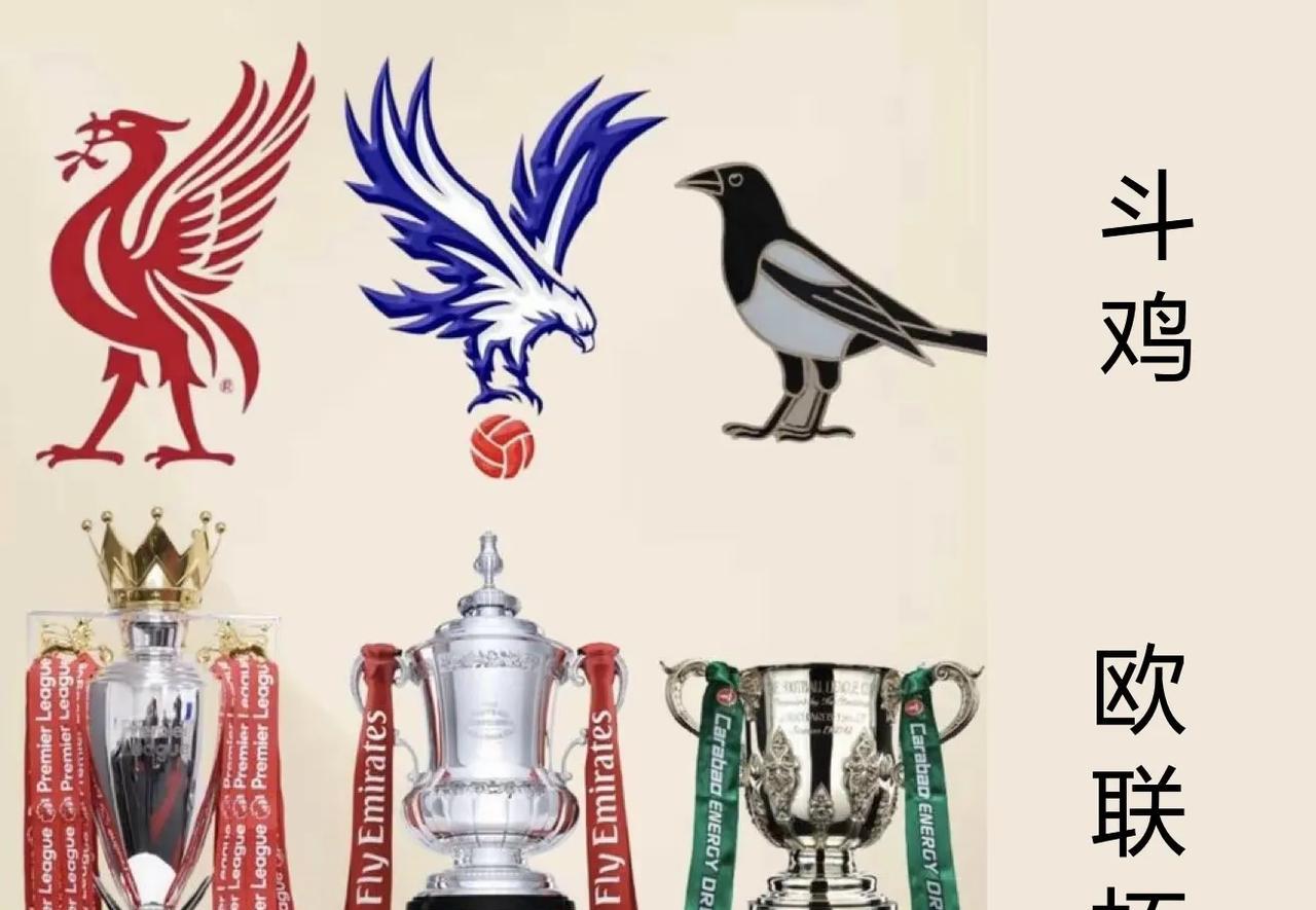 英超“鸟”队大开会！
利物鸟：我是英超冠军！
老鹰：我是足总杯冠军！
喜鹊：我是