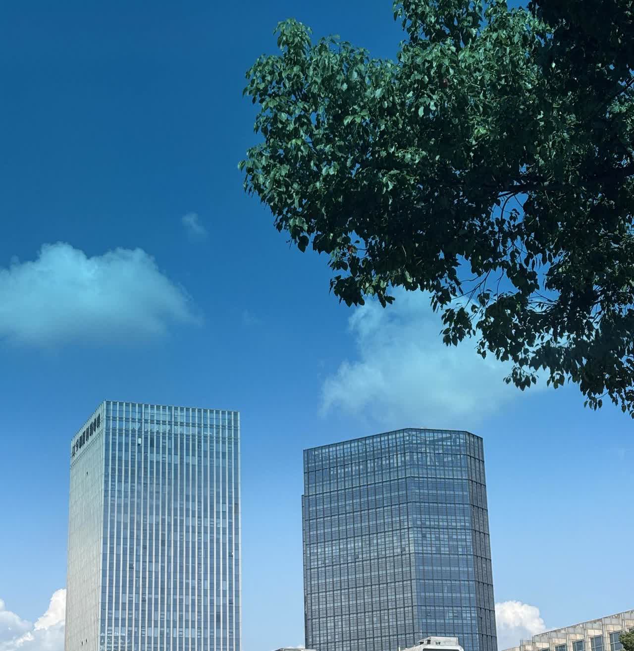 开车差点出车祸，太惊悚了！

昨天上午开车回家给老公送点菜，途中手机架连带正