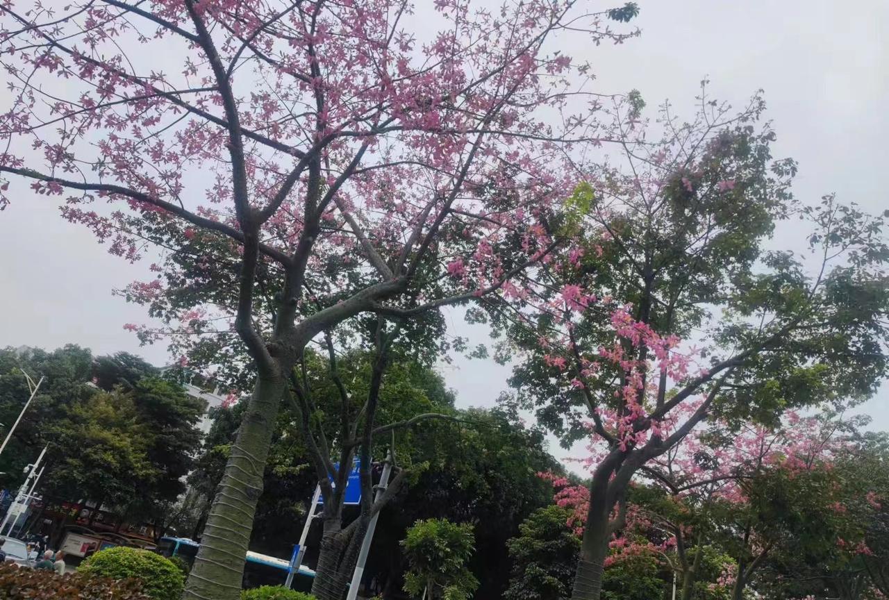 生活中，要狠狠记住的“心眼”：
1.借一次钱，少一堆朋友。
2.喝茶，不碰杯。