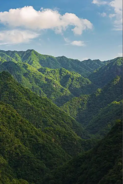 流氓罪已废，“流氓” 审判为何阴魂不散？
	“就因为跳了场交谊舞，他竟被判了死刑