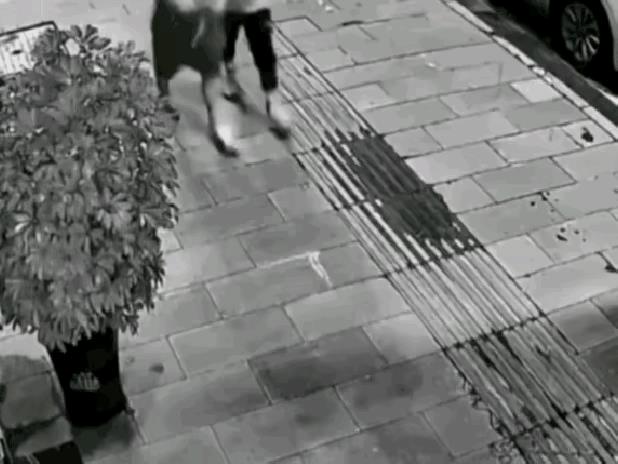 黑衣小子咋想的？路旁的观赏绿植放在那好好的，竟然被他路过时随手给拽倒了！这还不算