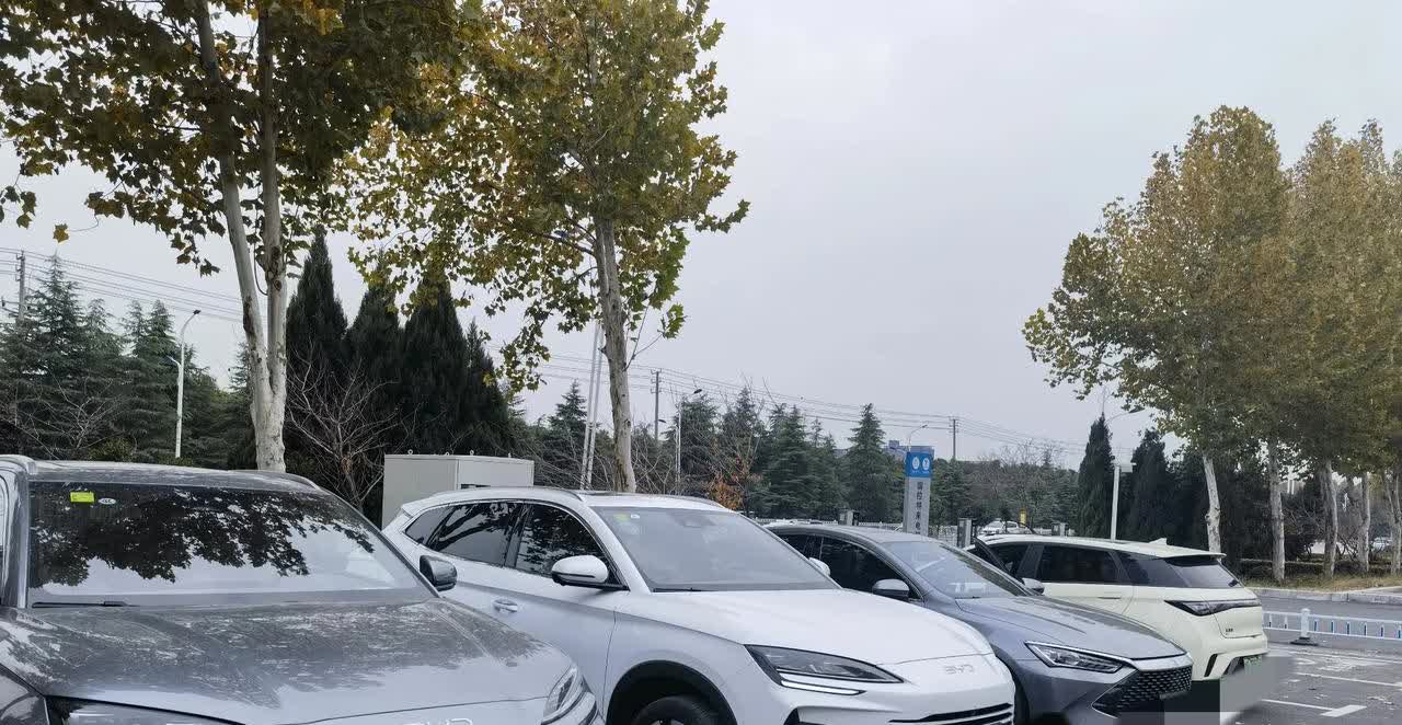 骂的越狠销量越好，这是什么战术？
比亚迪再次降价，又捅了马蜂窝，有人没法“跟”