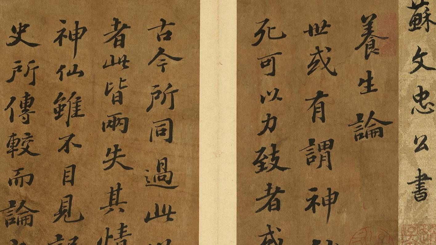 写字如何写出“绵里裹铁”的劲道？从苏轼《养生论》里我找到了答案
