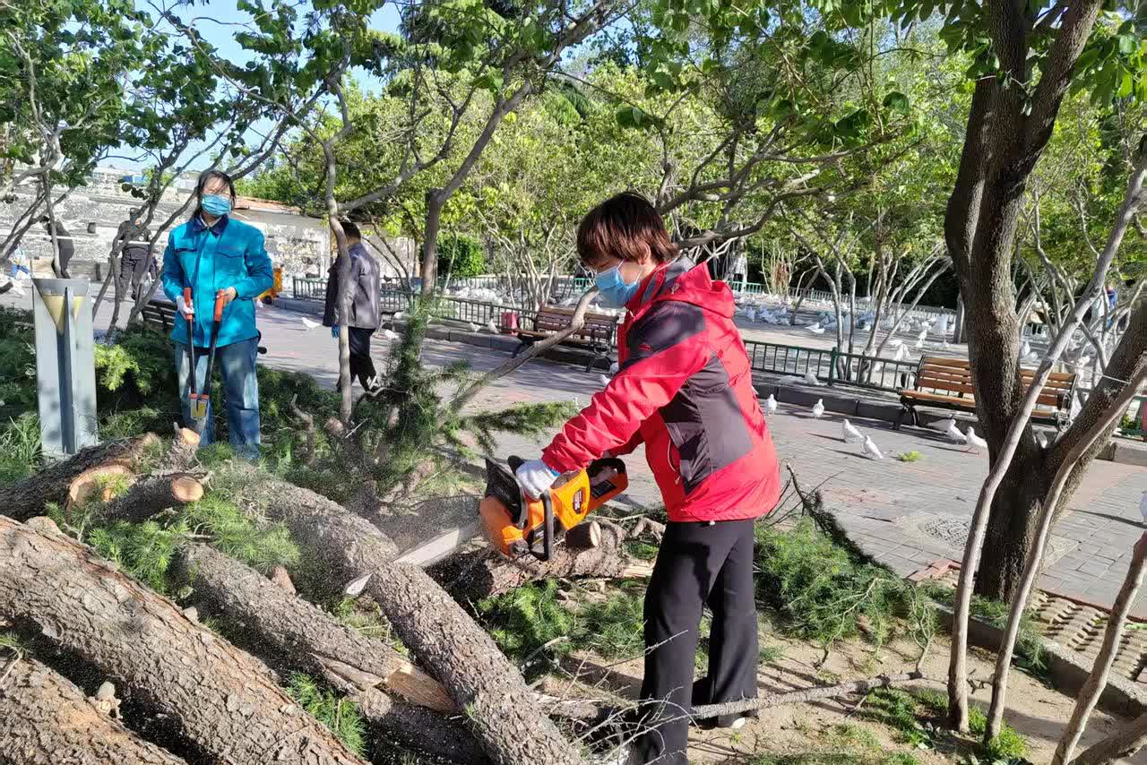 迎战大风天气，筑牢安全防线
大象新闻记者 夏萍
4月11日，气象部门发布大风