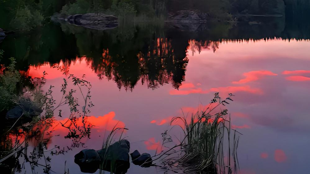 一路向南取暖竟成新潮流？