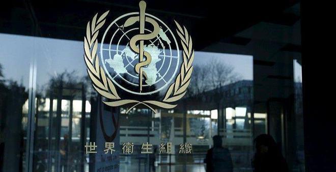 向世卫捐款5亿美元，体现了中国是国际组织的真正维护者！
 在美国退出世卫，其它国