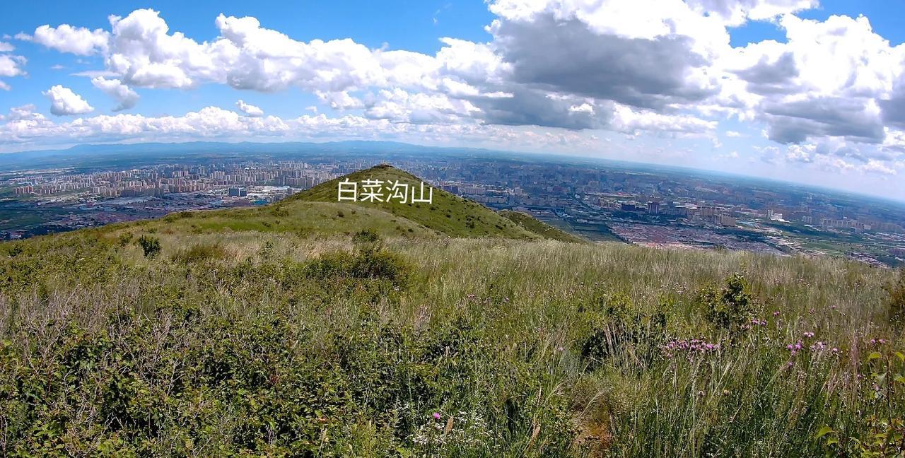 白菜沟山，登顶
绵绵青山在，绿意接蓝天。
白云空中荡，山花遍野鲜。
沟谷悠远处，