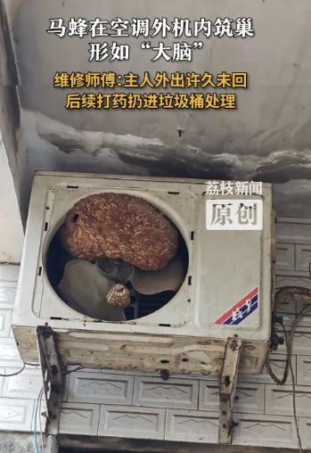 “太可怕了！”8月7日，河南信阳，一男子外出5年没回过家，到家后发现空调不好用了