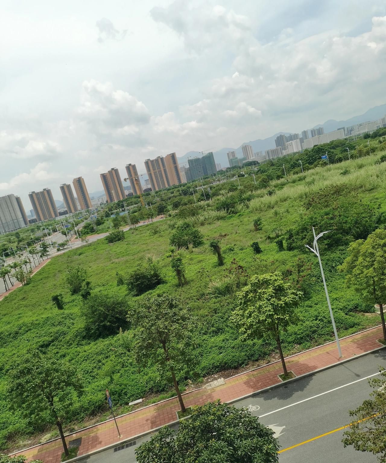 我的人生一错再错，我中专毕业，学的是财会和经营管理，刚毕业时被分配到岳阳某税务分