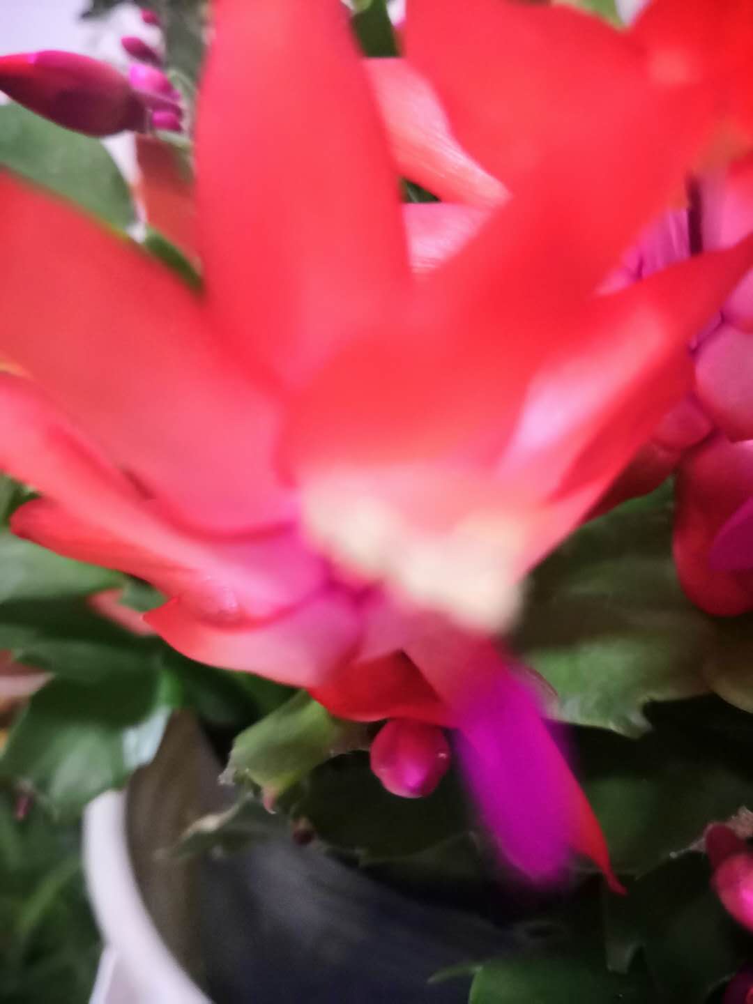 两个人的碎碎念，充满了对彼此的思念