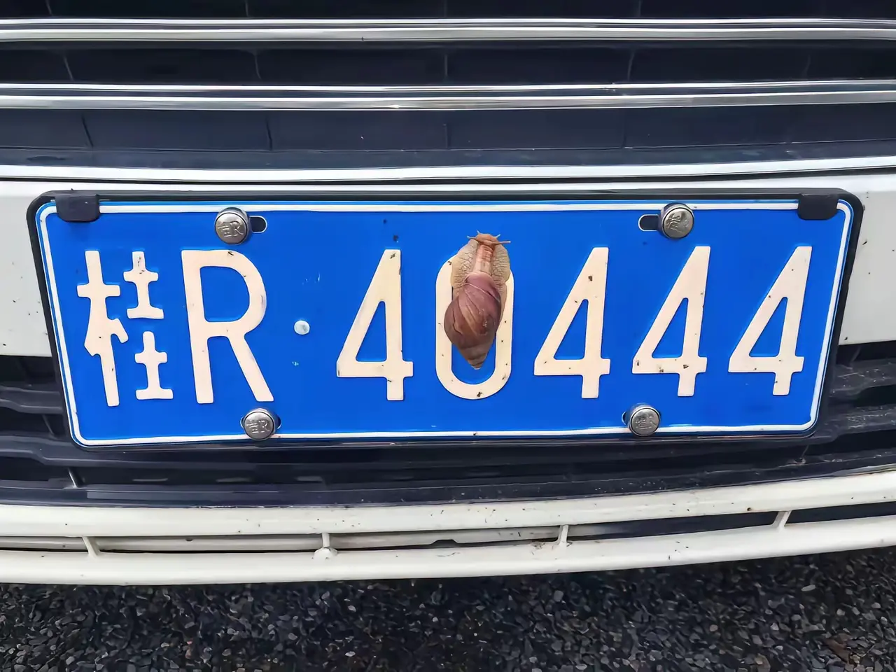 这样开出去，交警抓到算遮挡车牌吗？
