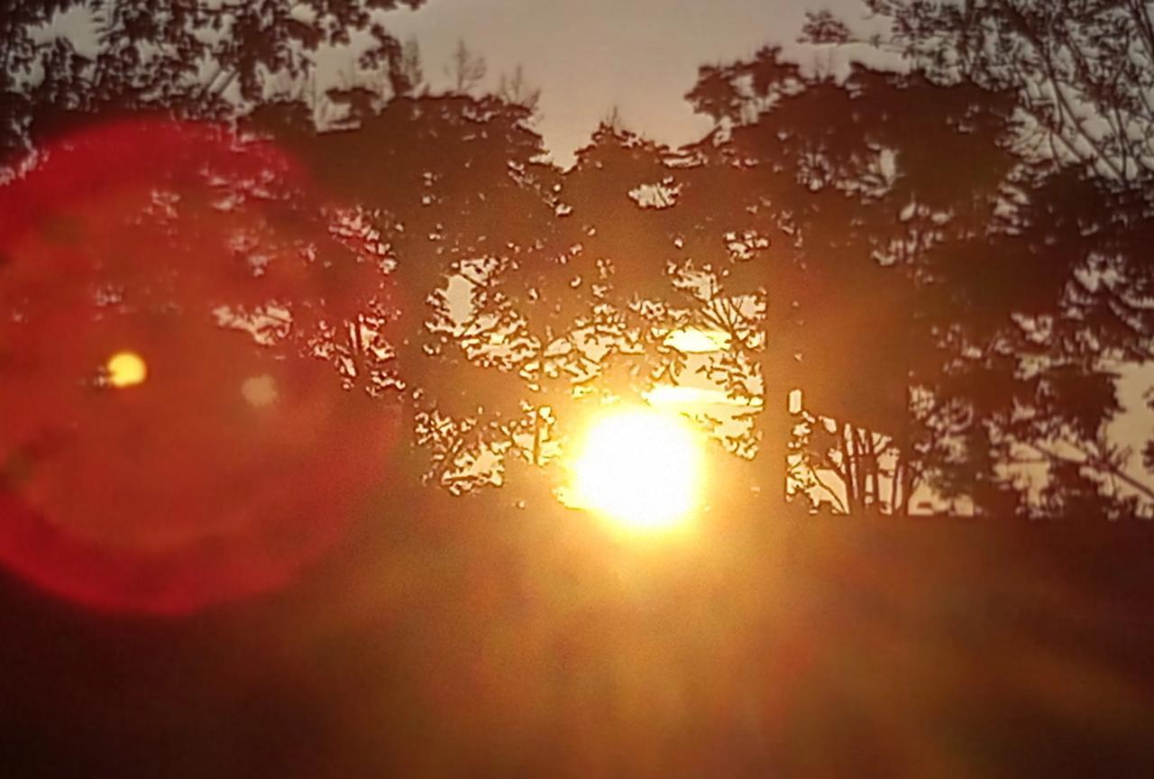 一大早
太阳就火光弥漫
看来今天襄阳城
又要流汗…
#湖北襄阳# #襄阳气候# 
