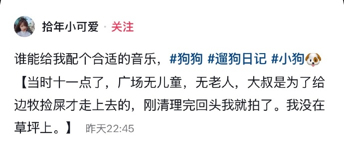 两只狗狗在灯光下拥抱起舞 ​​​