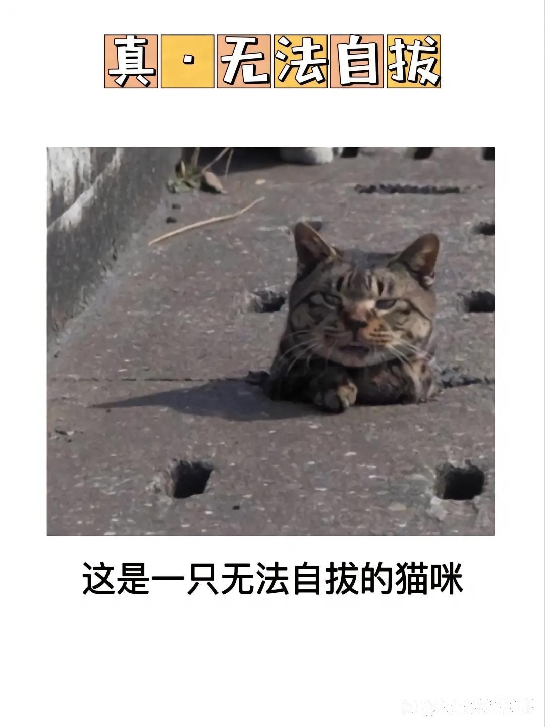 这一刻只想在水泥里沉溺