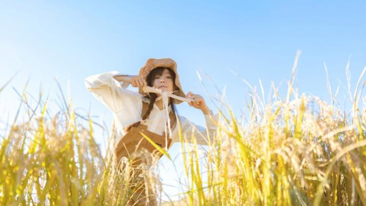 温知意傅晏琛 温知意 傅晏琛 如今的傅晏琛似已找到正缘，又有谁愿意搭理，温知意这个舔了他六年的舔狗呢