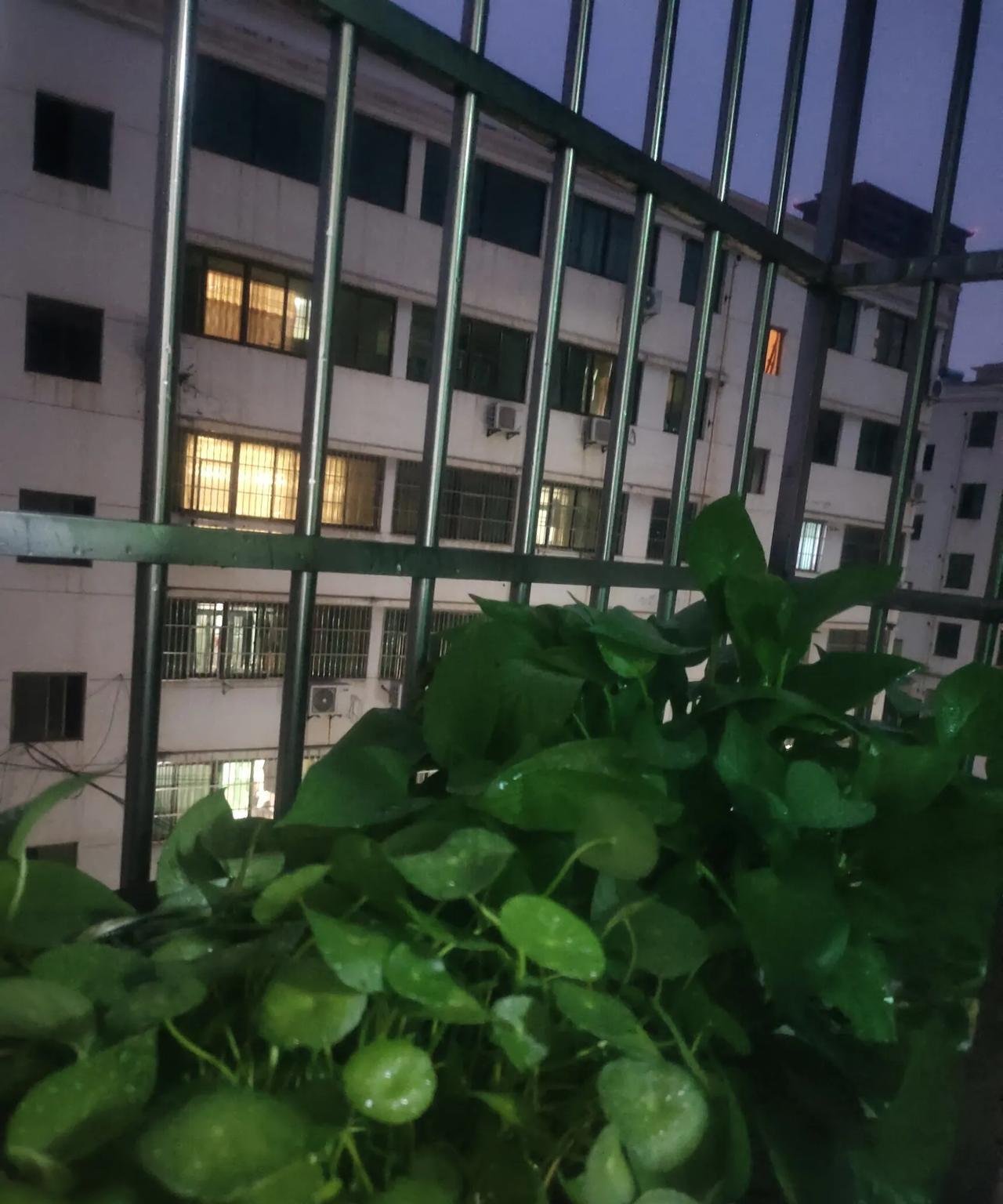 酷暑难耐的三伏天，下一场透雨绝对是一见天大的好事情！
这场雨盼望了好久好久！预报