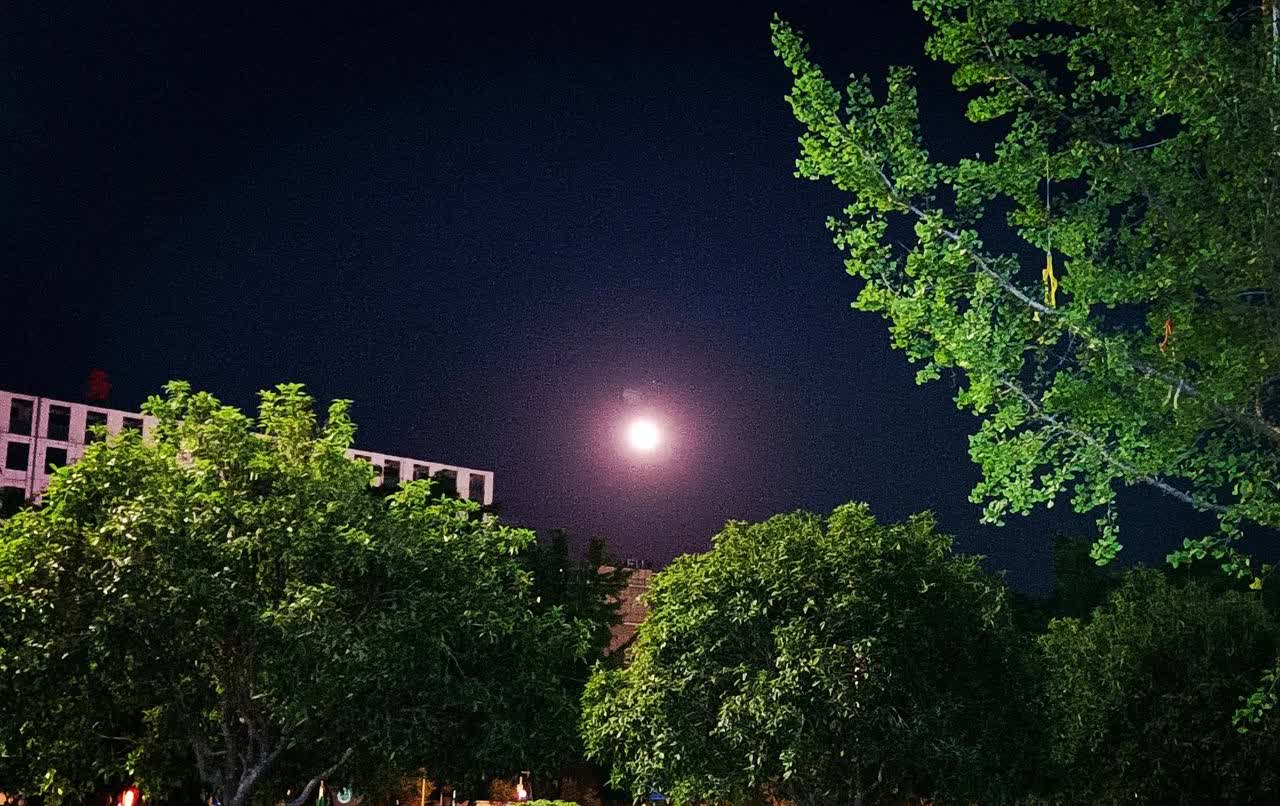 一段醍醐灌顶的话：“贪嘴的人都有病，贪财的人都短命，贪权的人难善终，贪色的人家不