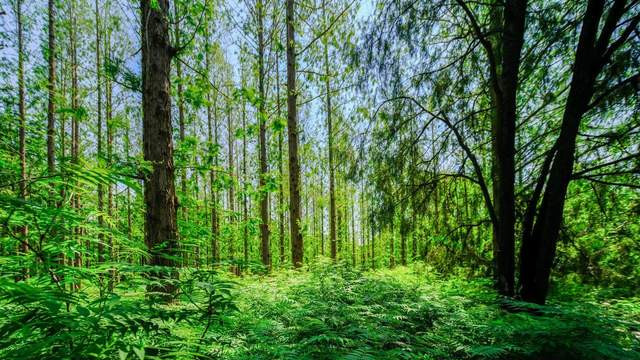 丝印烤盘耐高温不易变形：精密丝印固化的稳定核心