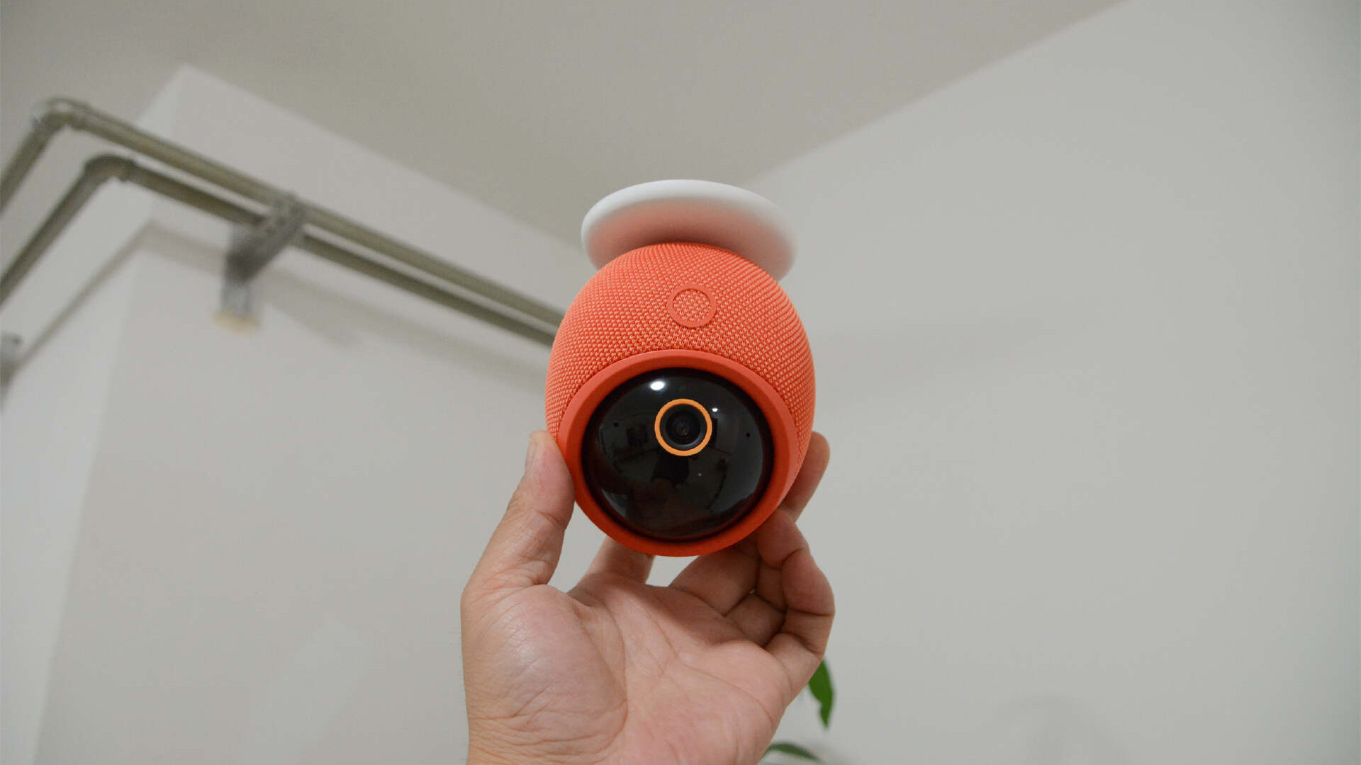 养鹦鹉怕没人陪？家里老人孩子需看护？雀蛋Max一台全拿捏！