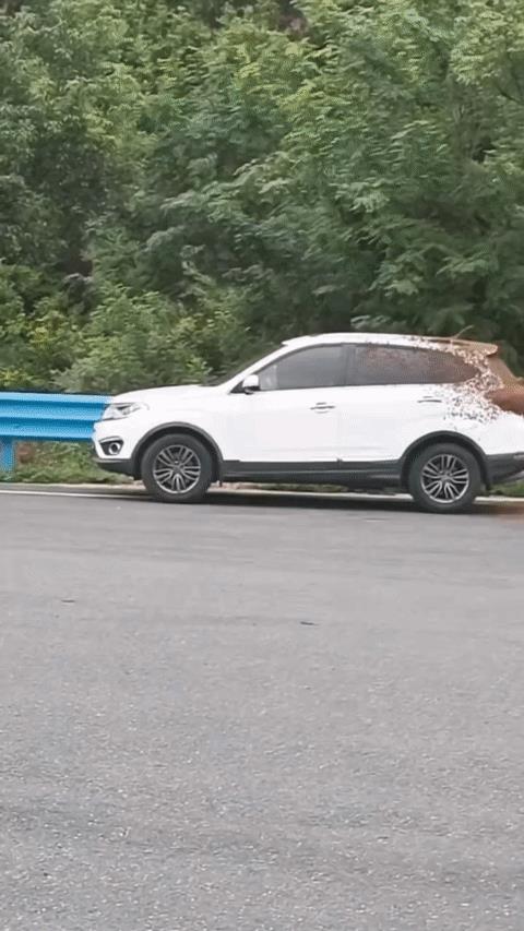 湖北十堰，蜜蜂包围车子，消防大哥辛苦了！
SUV 车尾爬满密密麻麻的蜜蜂，车主笑