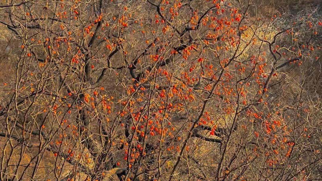 最走心的语录话