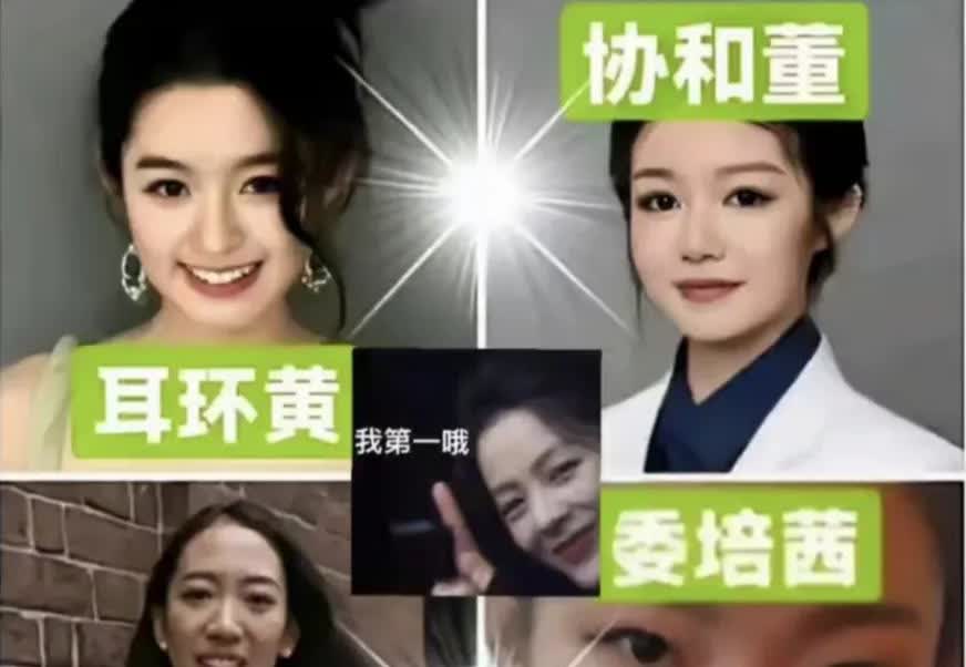 2025上半年刷新众人三观的四大女子，天价耳环的黄小姐，协和的董小姐，哈佛的蒋小