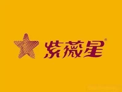 紫微星是带着任务下来的，紫微星的任务主要有世界大同。
紫微星事高维生命空间修炼过