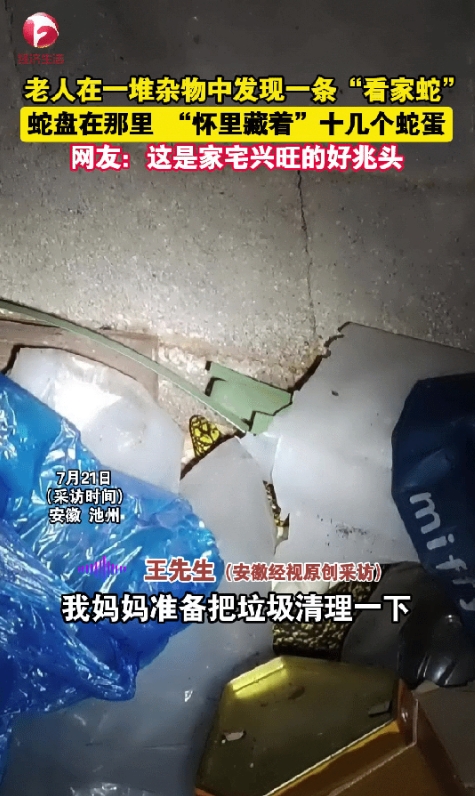 安徽池州一老人在清理家中垃圾的时候，发现垃圾里面竟有一团黄色的东西在动，凑近一看