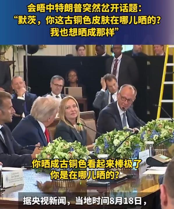 会晤中特朗普突然岔开话题：“默茨，你这古铜色皮肤在哪儿晒的？我也想晒成那样”。
