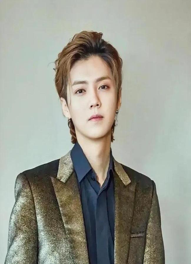 十年深藏功与名的京城大少爷剧本都不敢这么写！
当红顶流鹿晗被扒出父亲系总后勤部基