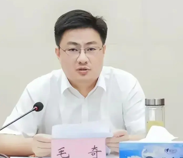 毛奇被判刑十年半，那么毛奇判的重不重？毛奇案件影响巨大，毛奇贪腐一千余万元，毛奇