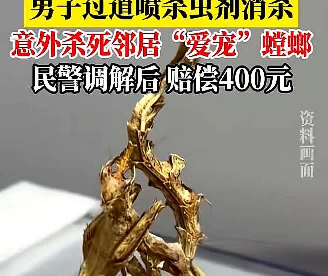 近日，杭州一男子发现家门口有疑似蟑螂的虫子出现，于是他就拿来杀虫剂对着“蟑螂”喷