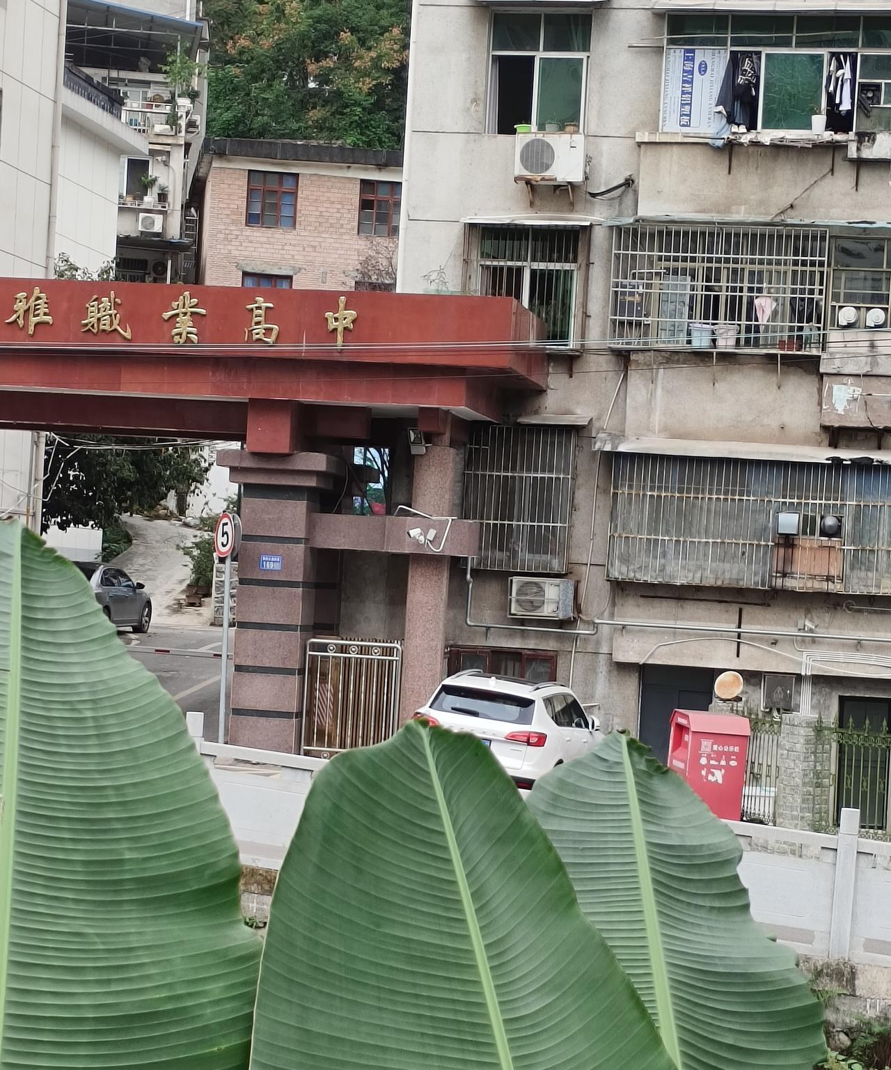孩子学校一河之隔是个职高，那天看到后我突发奇想:你们班上好多人初中毕业后就可以直