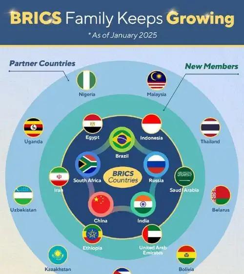 金砖国家没有达成谴责美国发起关税战的共识，导致没有发表联合声明。
说白了，就是内