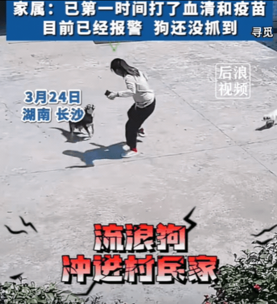 “人在家中坐，祸从天上来！”湖南长沙，女子在屋内休息，突然听到院子里狗狗惨叫，她