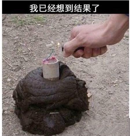 不用看，我也知道结果了！
