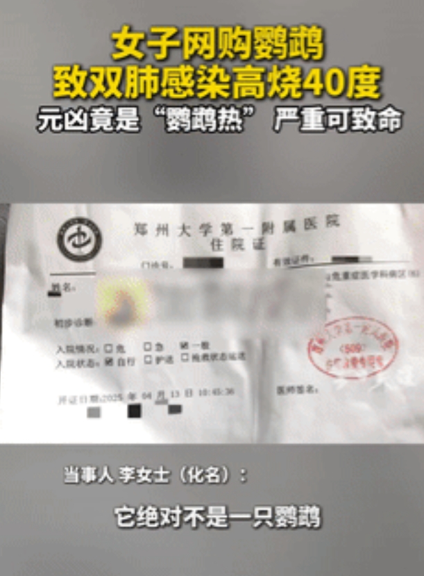 “倒大霉了！”6月12日，河南郑州，一女子花50元在网上购买了只鹦鹉，没想到，收