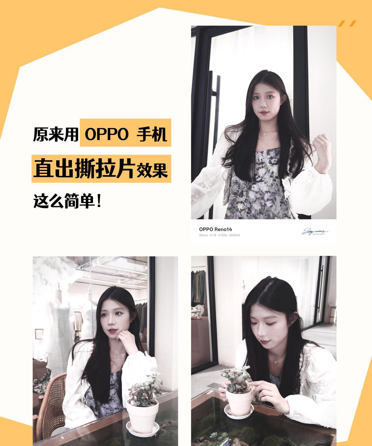 乌鱼子，现在撕拉片都炒这么贵了？
平均下来200一张，真的会破产…（学生党钱包哭