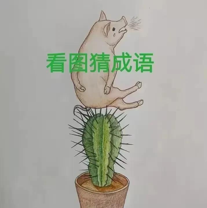 这个看图猜成语
有点意思
光看这图就好搞笑
一头小猪落在仙人掌上
仙人掌上的小刺