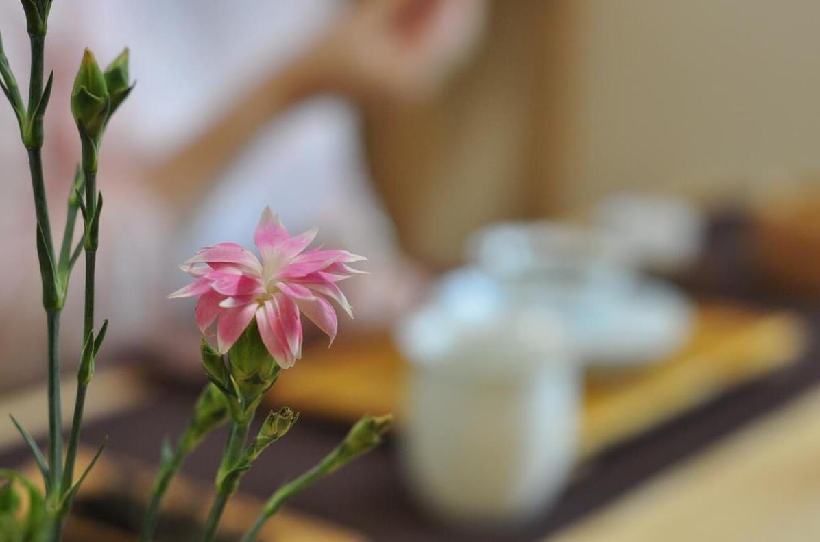 《水调歌头·断舍离悟》
世态漫纷扰，心向断舍求。点到何须深究，佳处且休留。莫恋繁