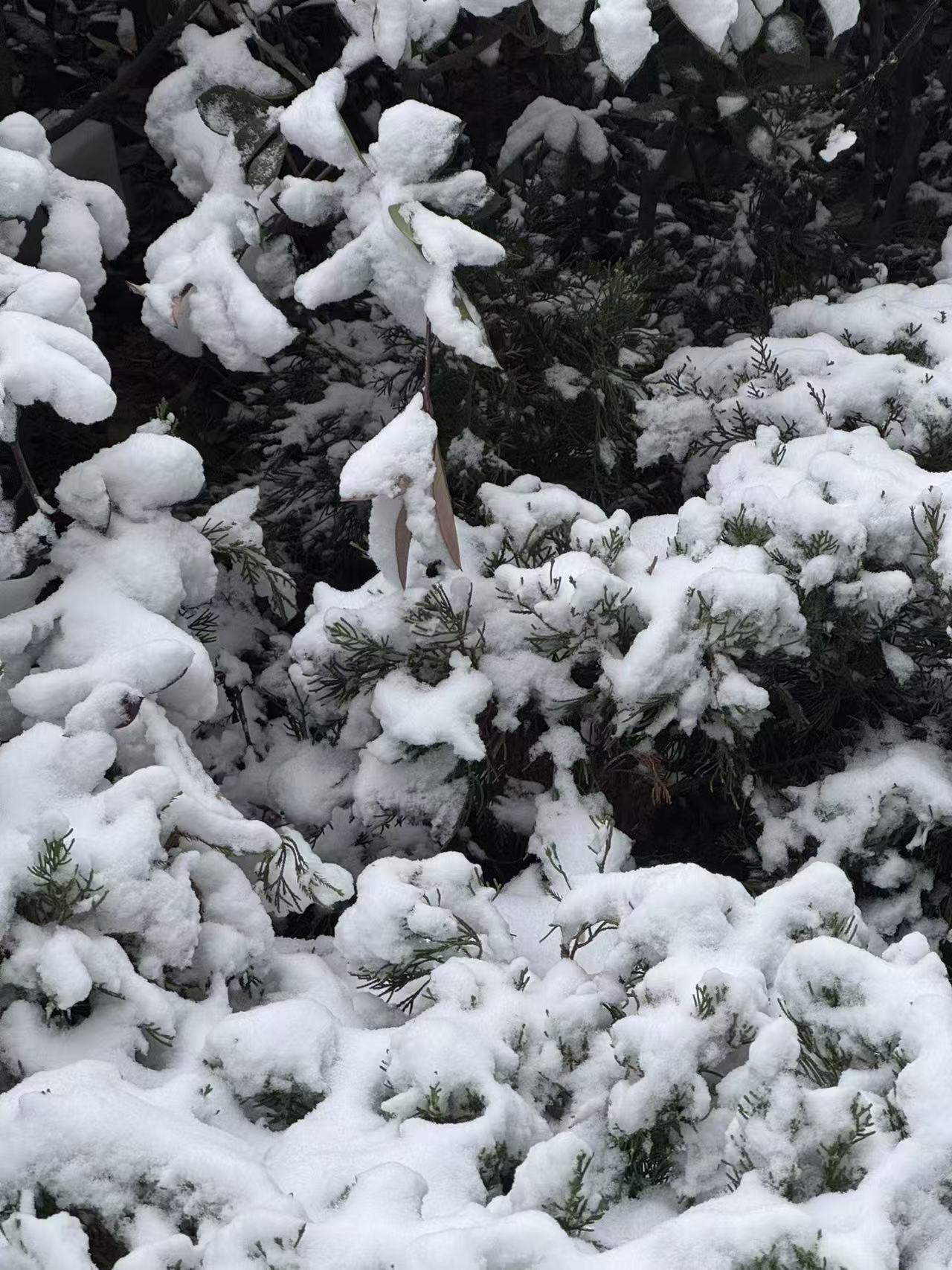 图片尺寸修改总失真？这个批量处理工具能自动锁定长宽比