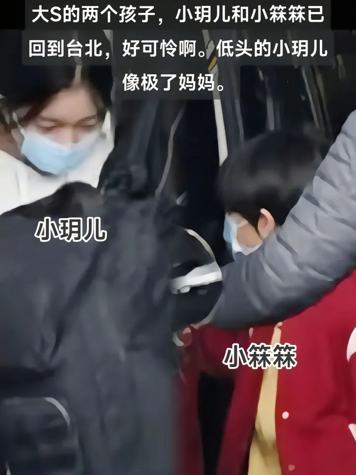 大S的两个孩子，不开心的样子。