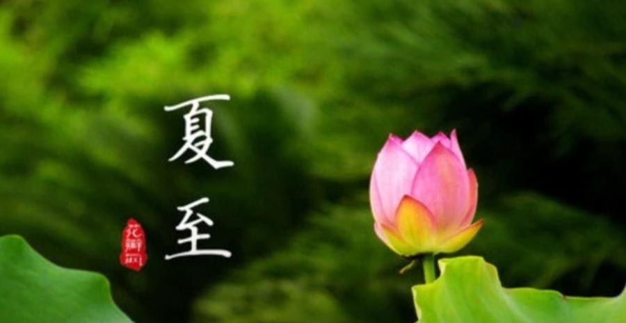 七绝，夏至
仲夏悠悠日正长，
莲荷蕾蕊吐清香。
风含潮味人思雨，
暑意匆匆赶路忙