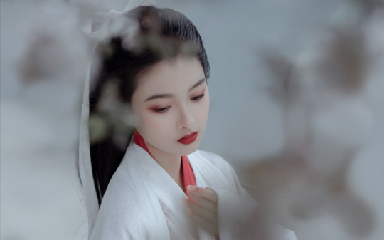 将军说他离不开我， 可转头就丢下虚弱的我，给他那娇柔表妹捞手帕
