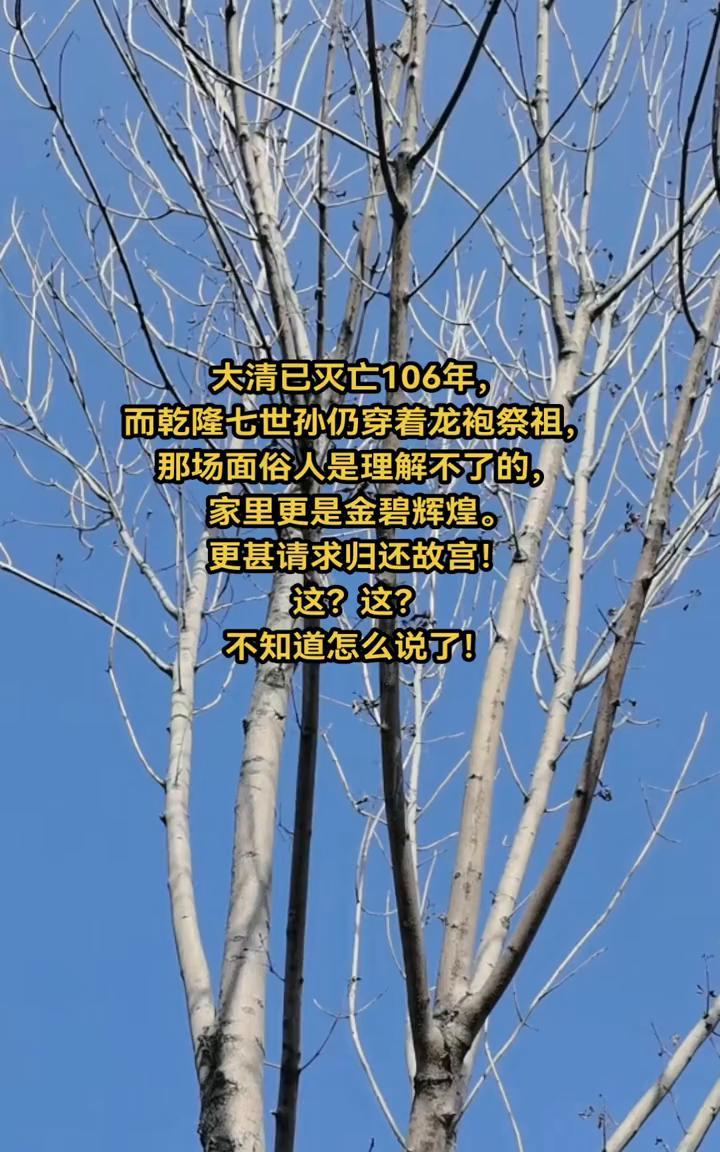 大清已灭亡106年，而乾隆七世孙仍穿着龙袍祭祖，那场面俗人是理解不了的，家里更是