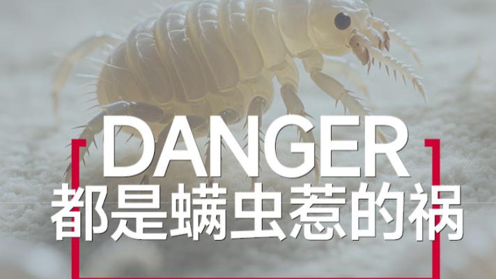 央视测评最好用的除螨仪？除螨仪十大品牌排行榜实力pk！