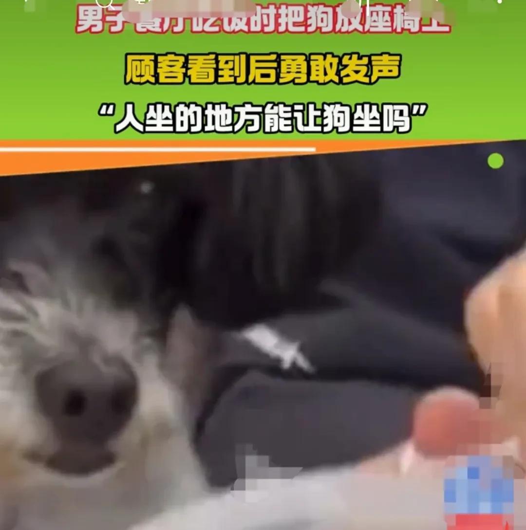 上海，男子带着自己家的狗狗，去餐管吃饭的时候，他让狗狗坐在自己旁边的座位上。
很