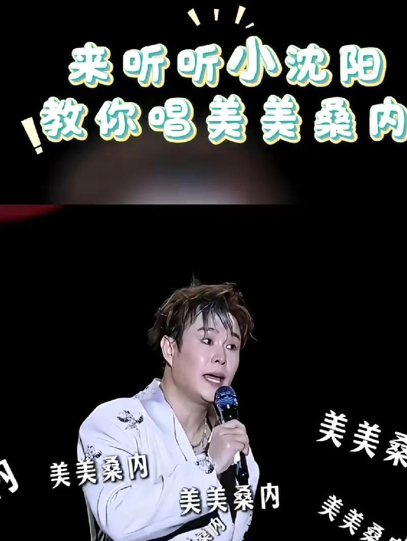沈佳润《美美桑内》成年度最火BGM
沈佳润演唱的《美美桑内》在2025年意外走红