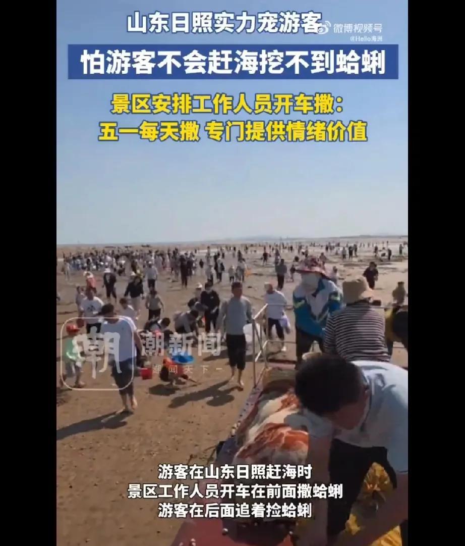 今年五一，山东日照一景区“撒蛤蜊”操作简直火到刷屏！5月1日那天，工作人员开着车